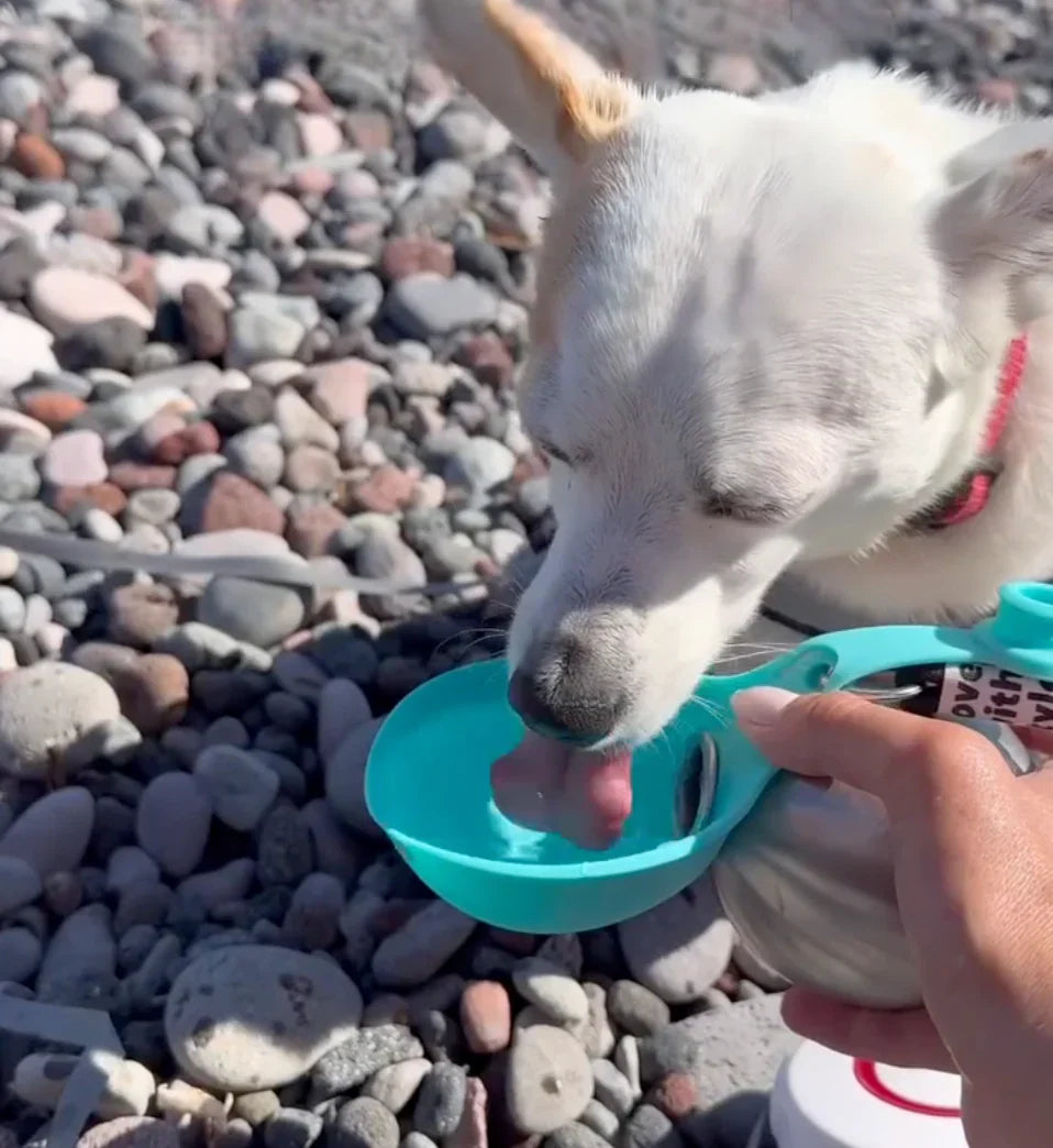 Aqua Vital Bowl for HealthyDogs